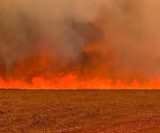 Fumaça das queimadas faz aviões alternarem rota em SP