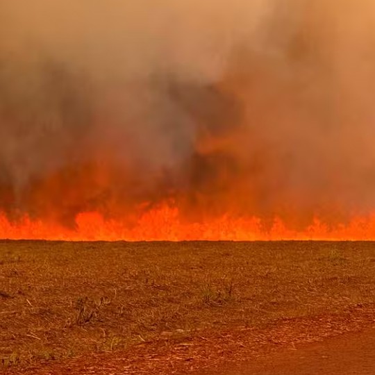 Fumaça das queimadas faz aviões alternarem rota em SP