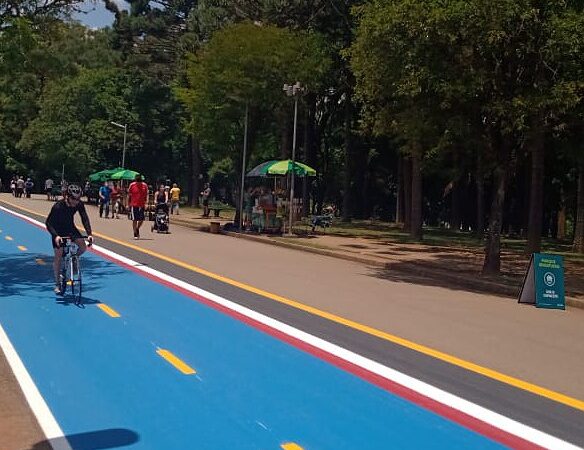 ‘Parque Ibirapuera é um marco cultural e arquitetônico na história de São Paulo’, diz professor
