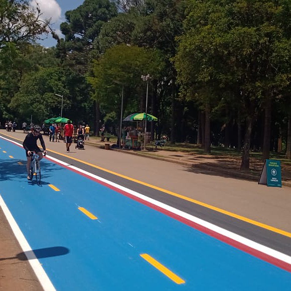 ‘Parque Ibirapuera é um marco cultural e arquitetônico na história de São Paulo’, diz professor