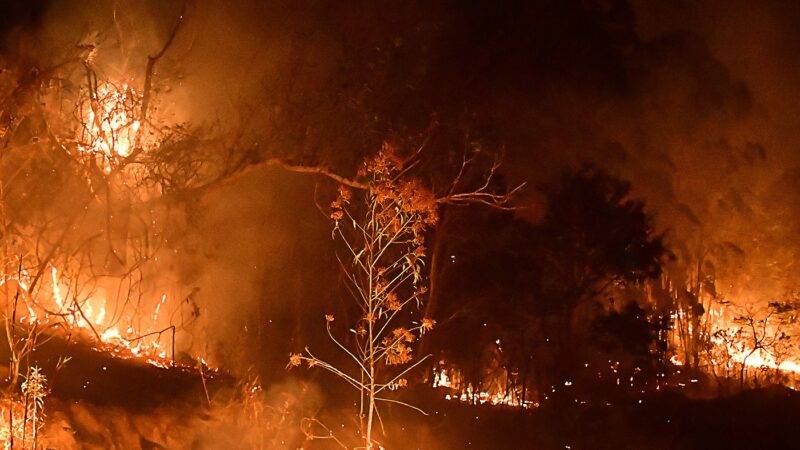 Mais de 20 municípios têm focos de incêndio ativos em São Paulo