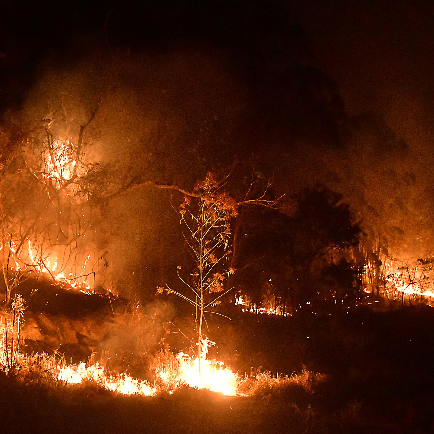 Mais de 20 municípios têm focos de incêndio ativos em São Paulo