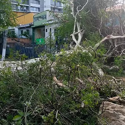 Sobe para 5 o número de mortos no estado de SP após fortes chuvas