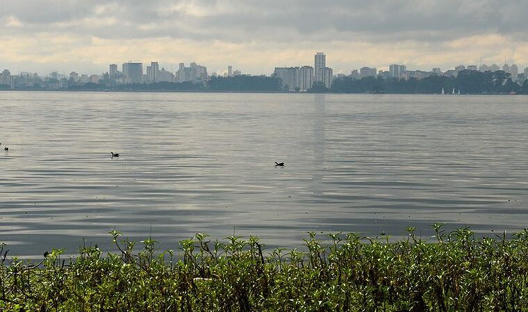 Represa de Guarapiranga sofre com desmatamento e falta de saneamento; educador fala sobre tema