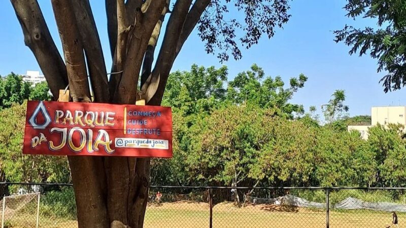 Grupo de moradores desenvolve movimento de regeneração ambiental urbana