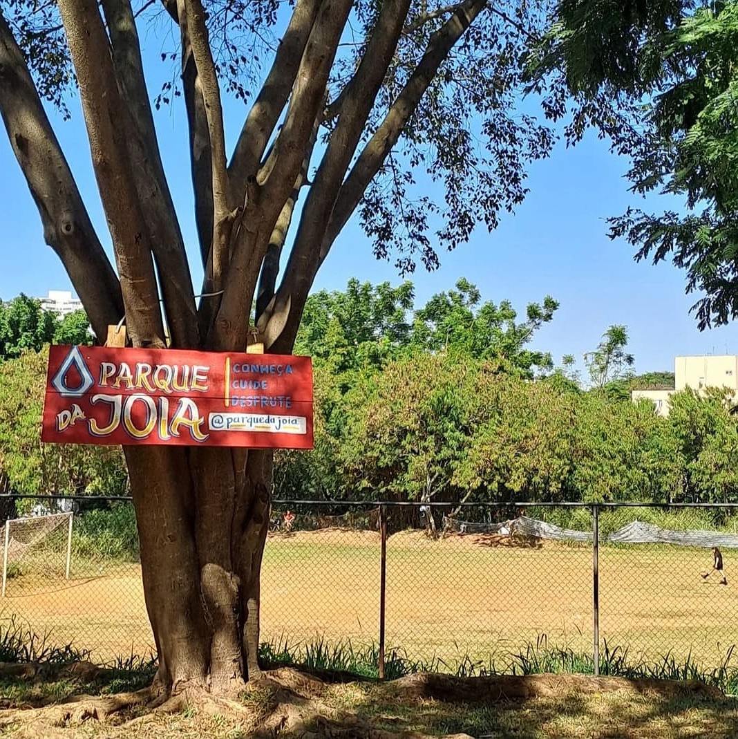 Grupo de moradores desenvolve movimento de regeneração ambiental urbana