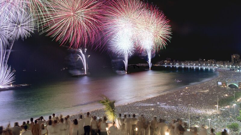 Como proteger os pets dos fogos de artifício no ano novo?