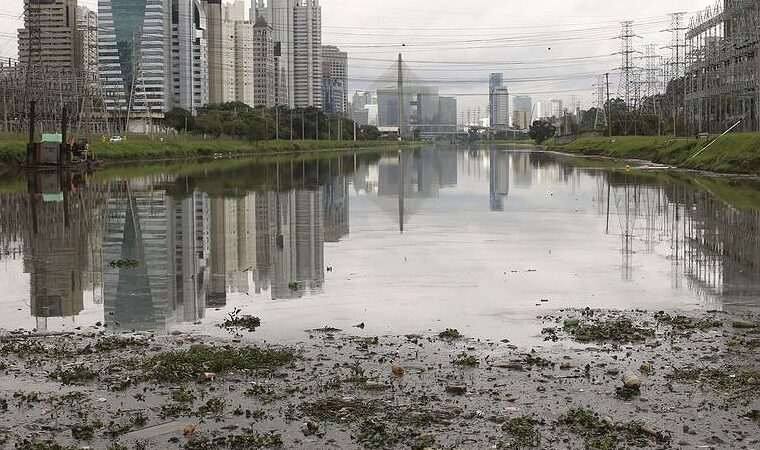 ‘Gasto de R$ 132 milhões para despoluir rio em São Paulo poderia ser usado em outras políticas públicas’