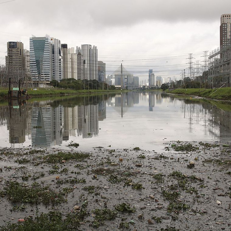 ‘Gasto de R$ 132 milhões para despoluir rio em São Paulo poderia ser usado em outras políticas públicas’
