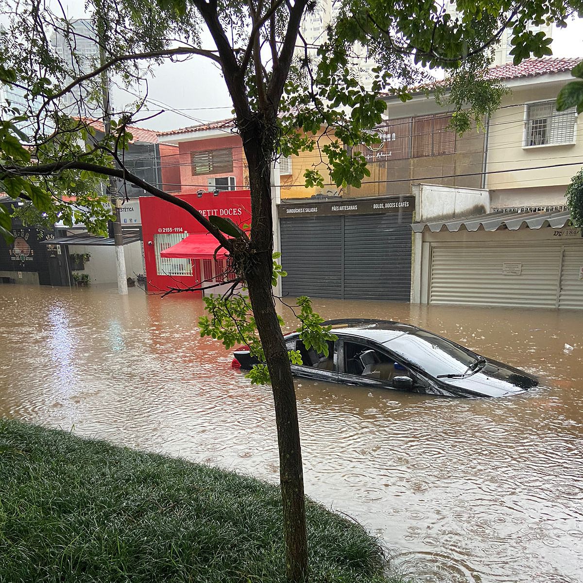 Alagamentos em São Paulo: ‘a cidade tem que assumir isso como prioridade’, diz especialista