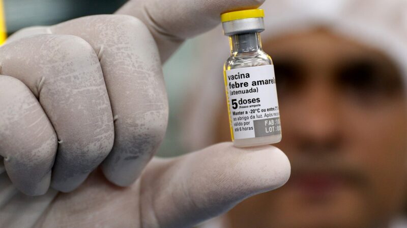 Diretora do Centro de Vigilância Epidemiológica de SP tira dúvidas sobre a vacina contra febre amarela