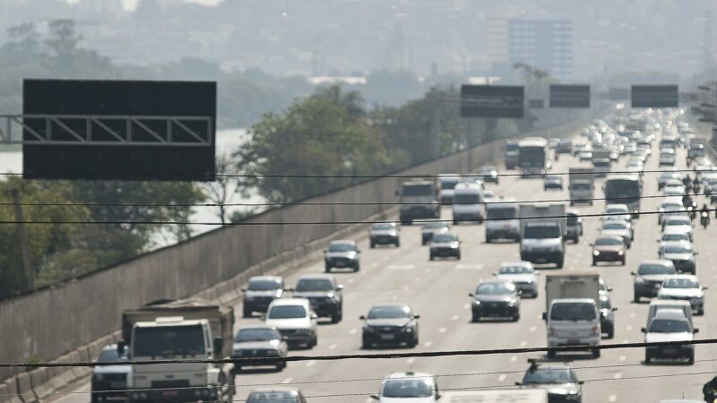 Conexão com a natureza: como transformar a vida na cidade e cuidar da saúde