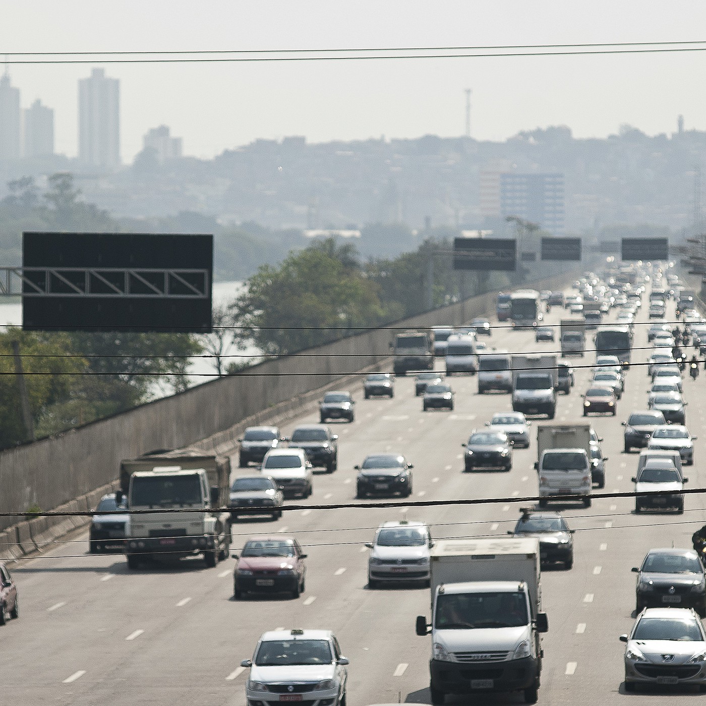 Conexão com a natureza: como transformar a vida na cidade e cuidar da saúde