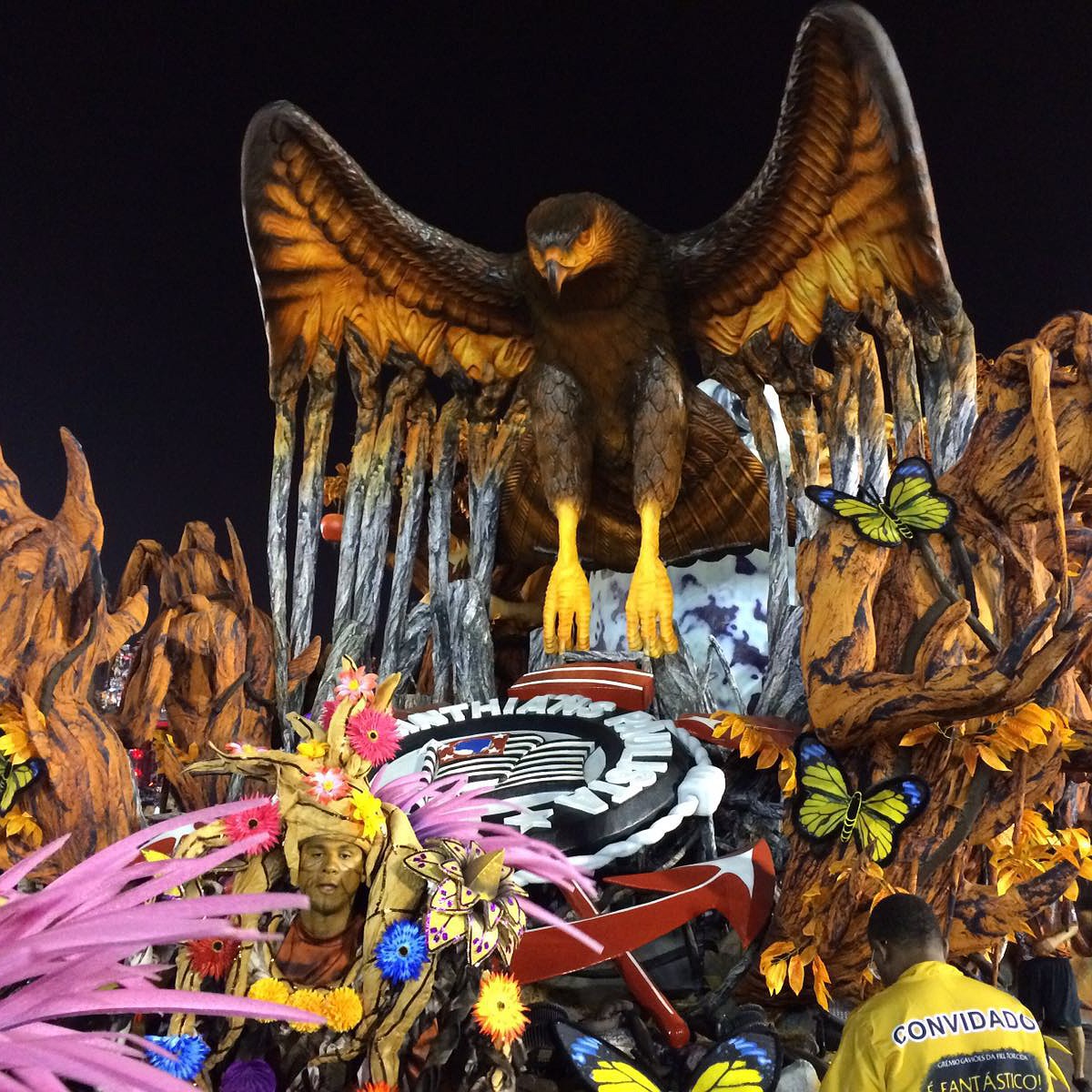 Gaviões da Fiel aposta em enredo africano no Carnaval 2025