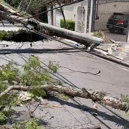 Energia dos 35 mil clientes atingidos pela chuva deverá ser reestabelecida até a manhã de sexta-feira (14), diz diretor