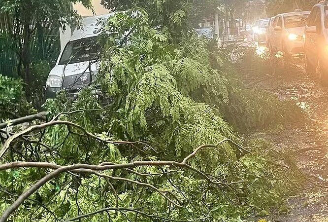 Motoristas de táxi lamentam morte de amigo durante temporal em São Paulo: ‘pessoa legal, trabalhador’