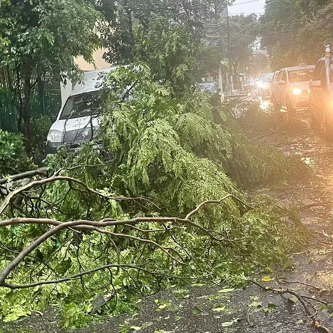 Motoristas de táxi lamentam morte de amigo durante temporal em São Paulo: ‘pessoa legal, trabalhador’