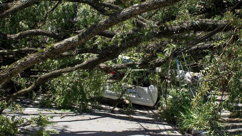 Moradores de SP continuam sem energia mais de 36 horas depois do vendaval da última quarta-feira
